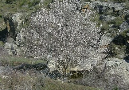 Las Cascadas de las Pilas