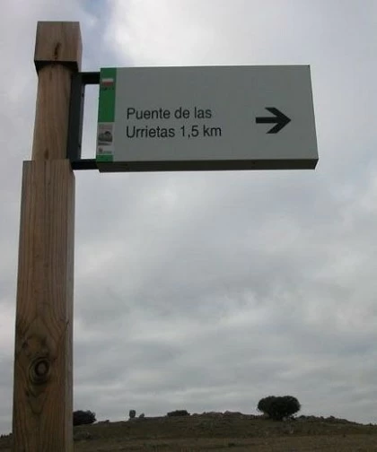 Recogida de setas en Pereruela