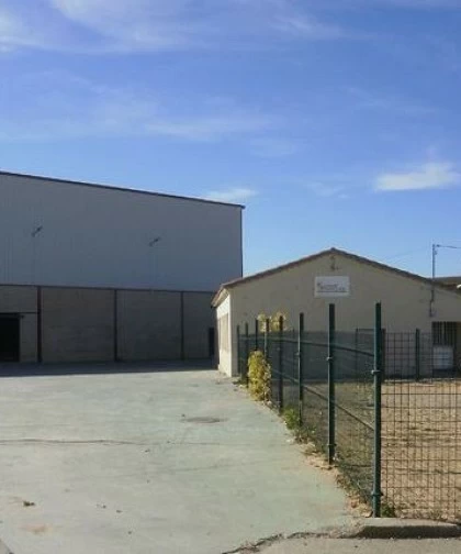 Deportes en Pabellón Municipal