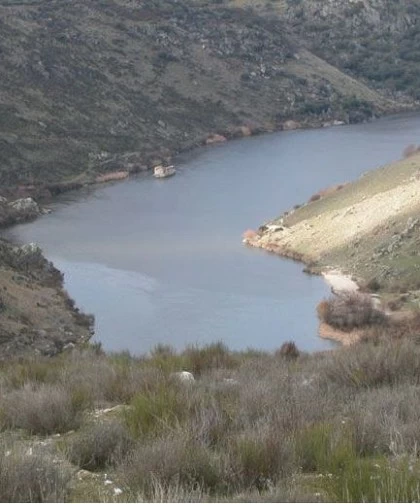 Recogida de setas en Pereruela